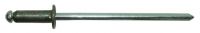 rivet aveugle aluacier 64x40mm 300350 20pc