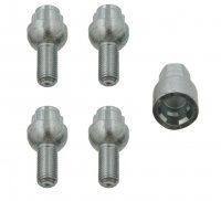SLOTBOUT SET 4 STUKS M12X1,5-25 + DOP17 VW BOL (1ST) SLOTBOUT SET 4 STUKS M12X1,5-25 + DOP17 VW BOL (1ST)